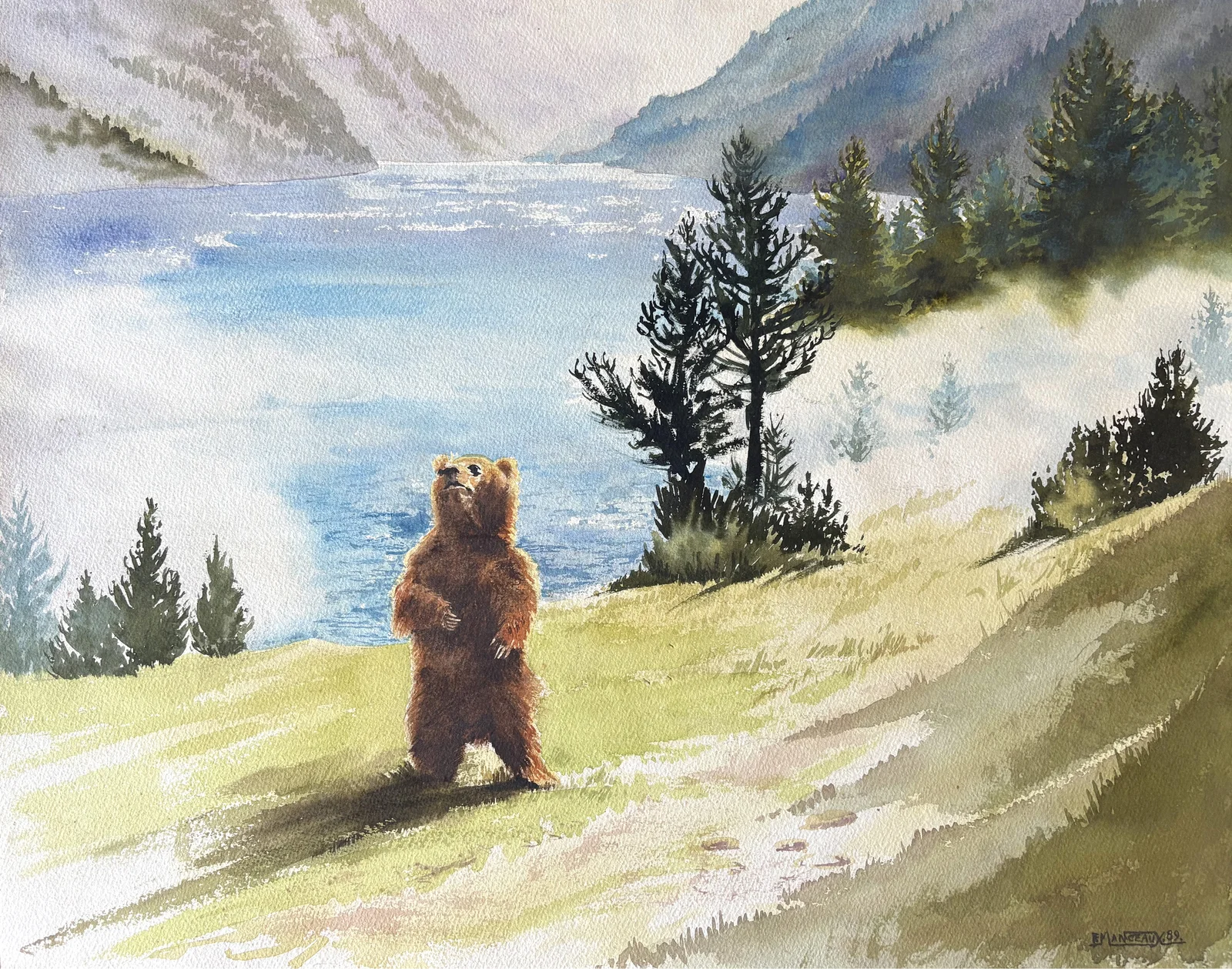 L'ours devant le lac de montagne