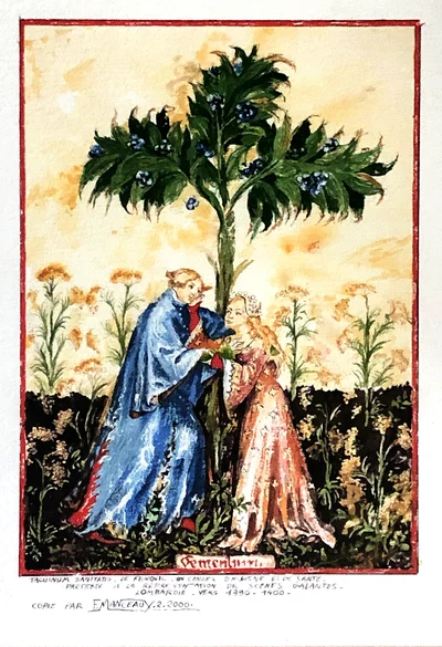 Scène galante, le fenouil ou conseil d'hygiène et de santé, Lombardie vers 1390