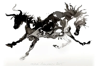 Les hybrides 1