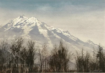 Montagne enneigée et arbres d'hiver, Savoie ?