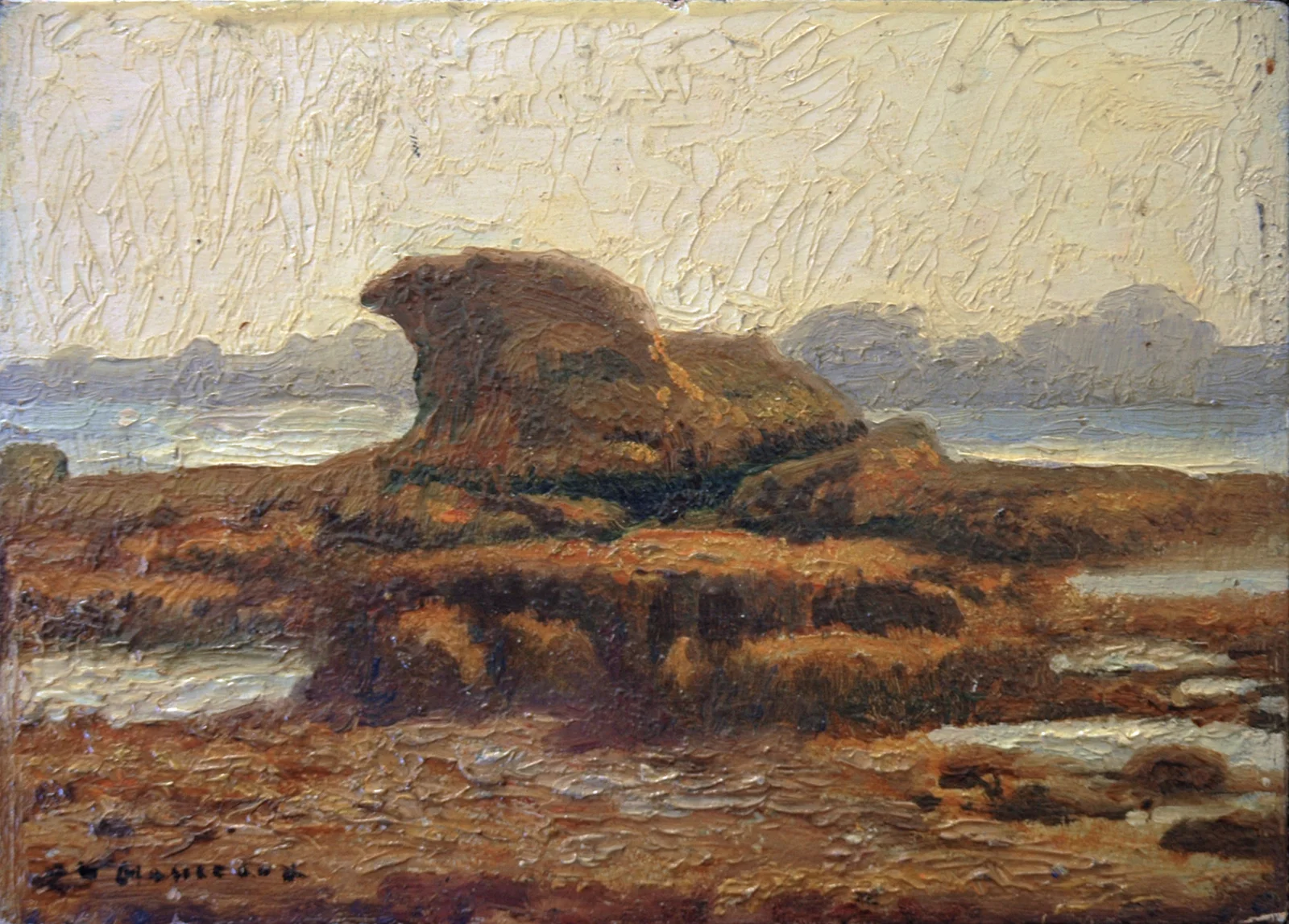 Les goémons à Ploumanach