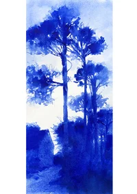 Les pins bleus, série bretonne