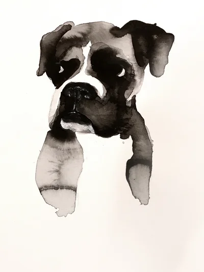32-portrait de chien