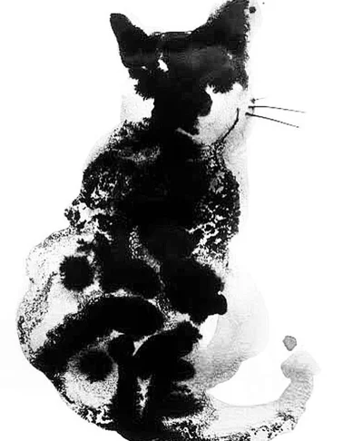 36-Chat de dos