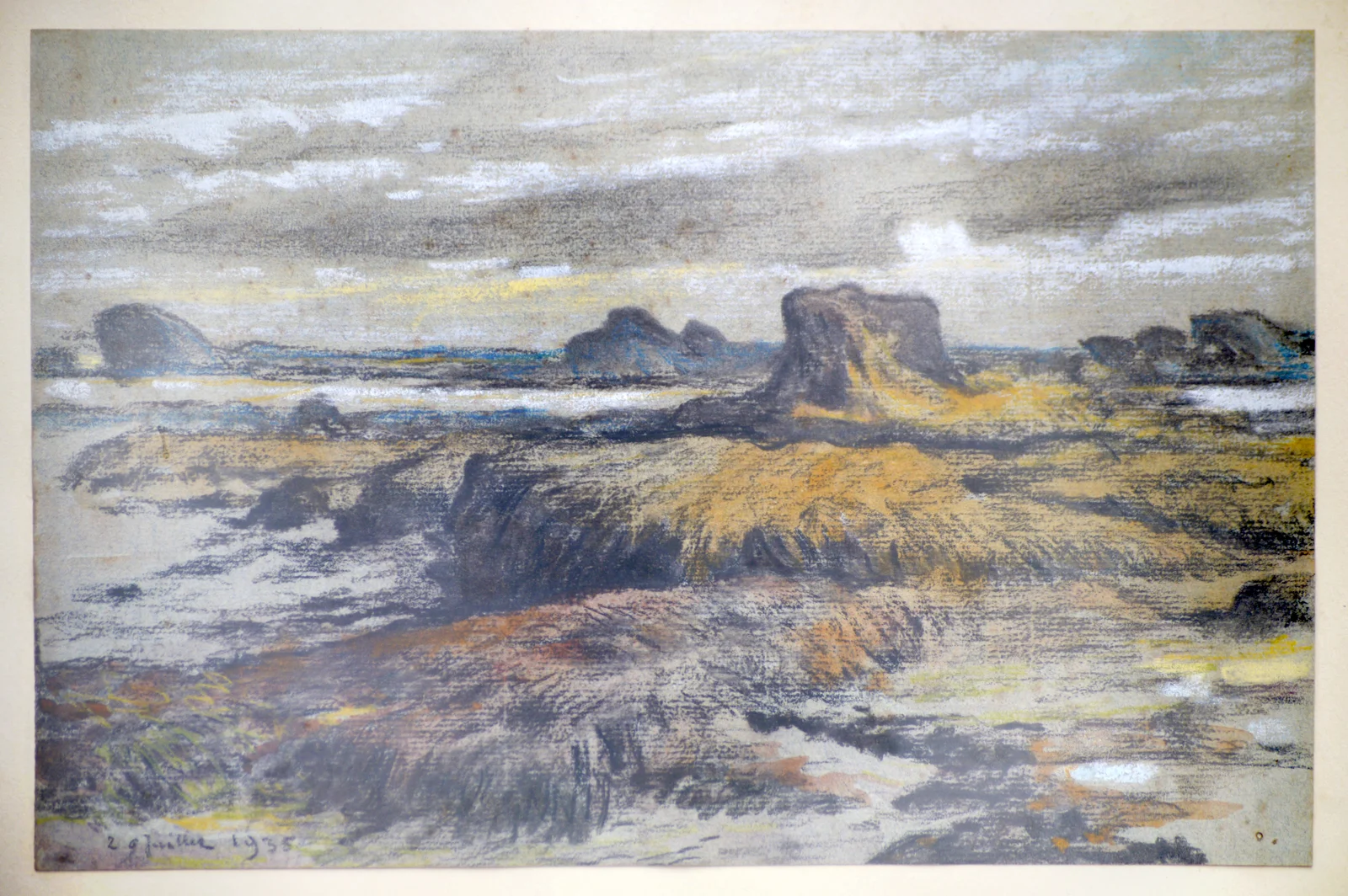 Ploumanach, rochers et goémon