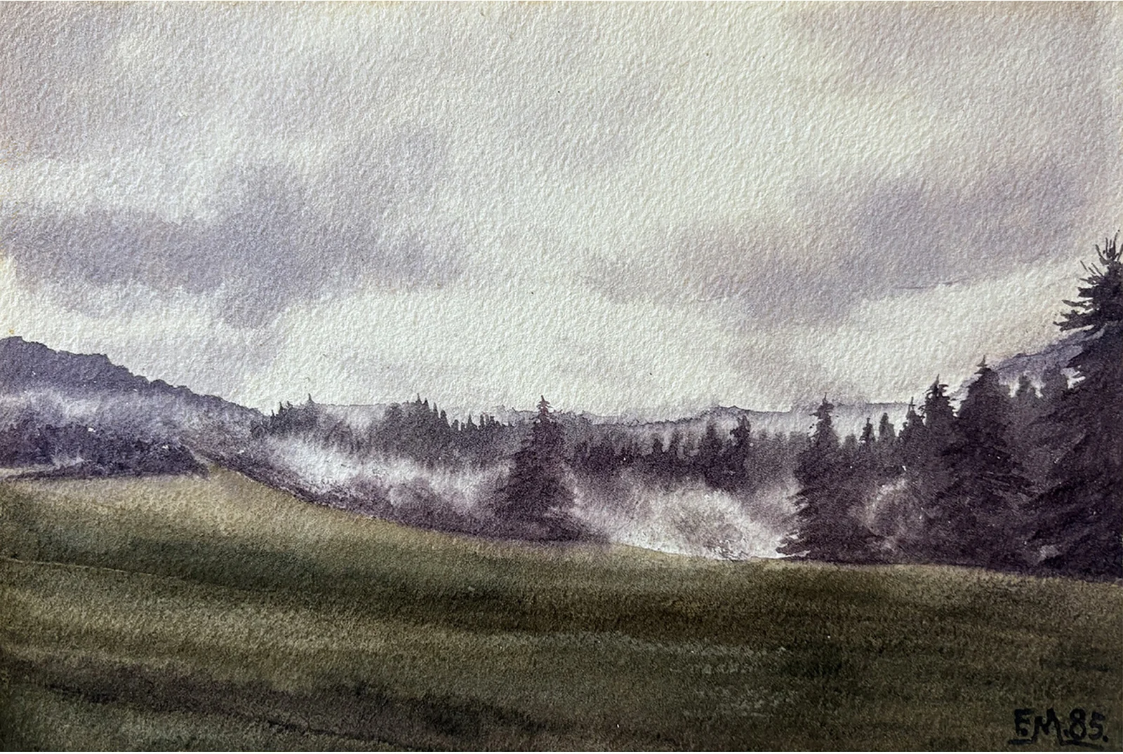 Chablais, le bois du Fayet, les sapins dans la brume