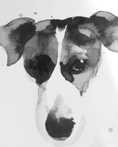 34-portrait de chien