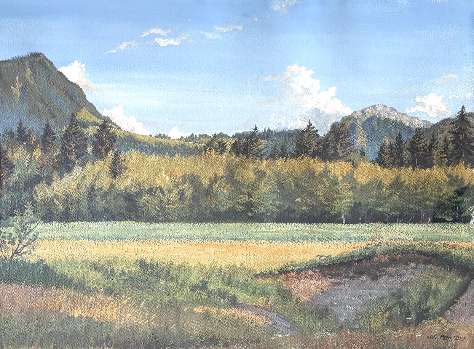Le Grand Bois, entre les Trables et le Mont-Ouzon