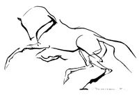 Série des chevaux, croquis