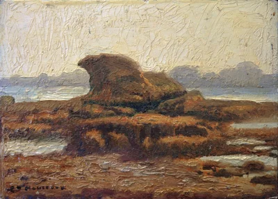 Les goémons à Ploumanach