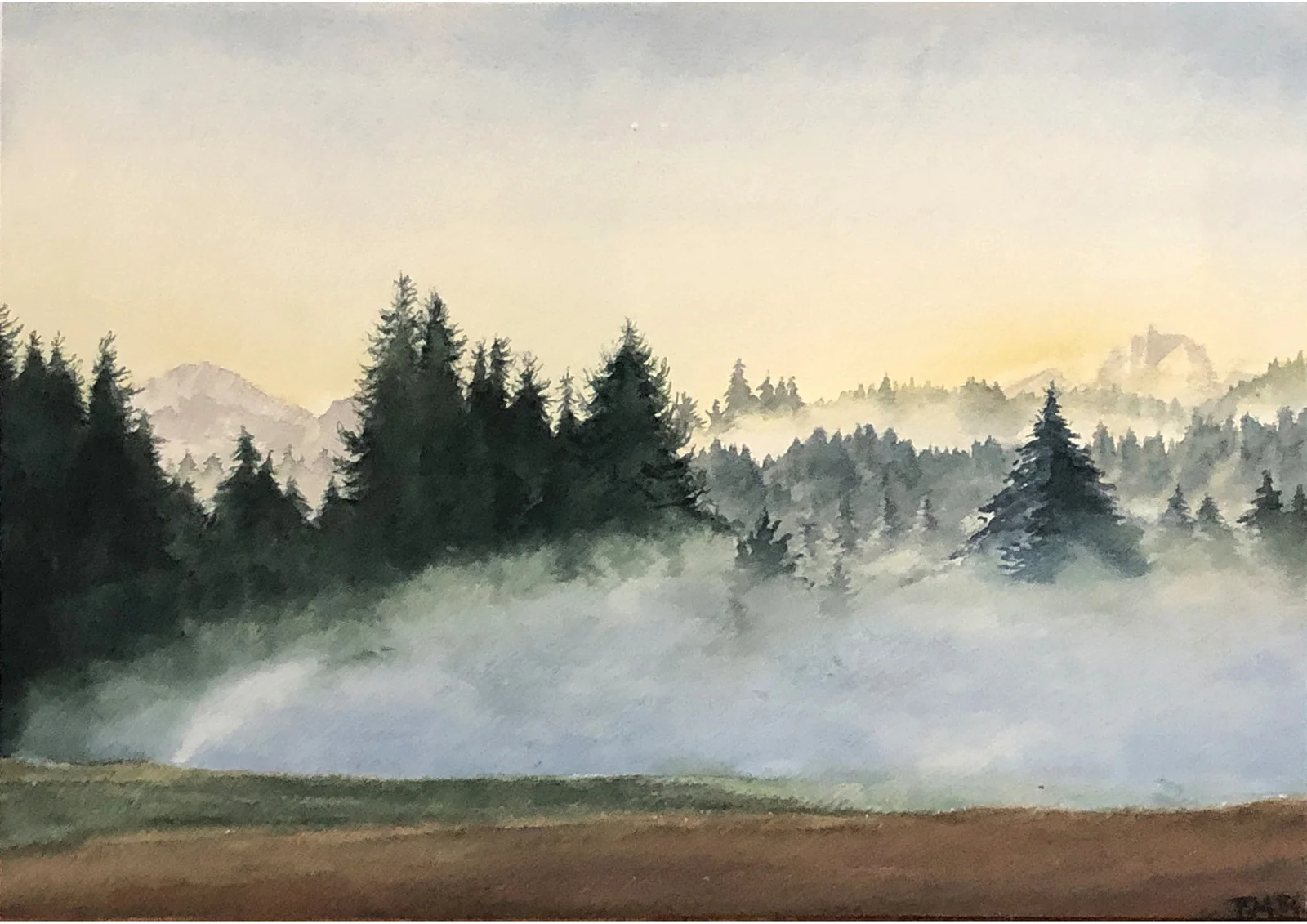 Brume devant le Grand bois (bois du Fayet) à Saint-Paul
