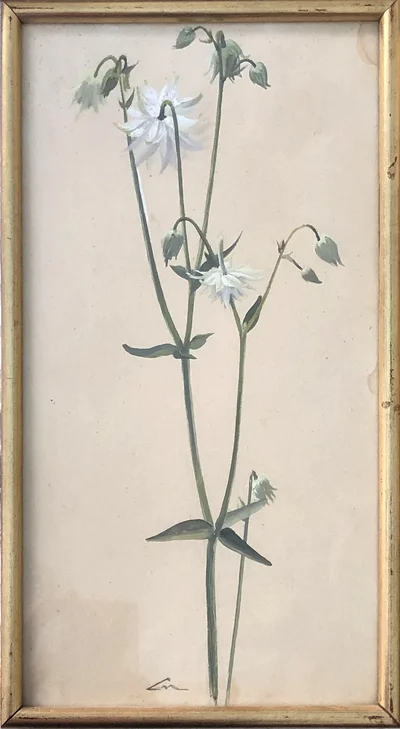 1-Fleurs