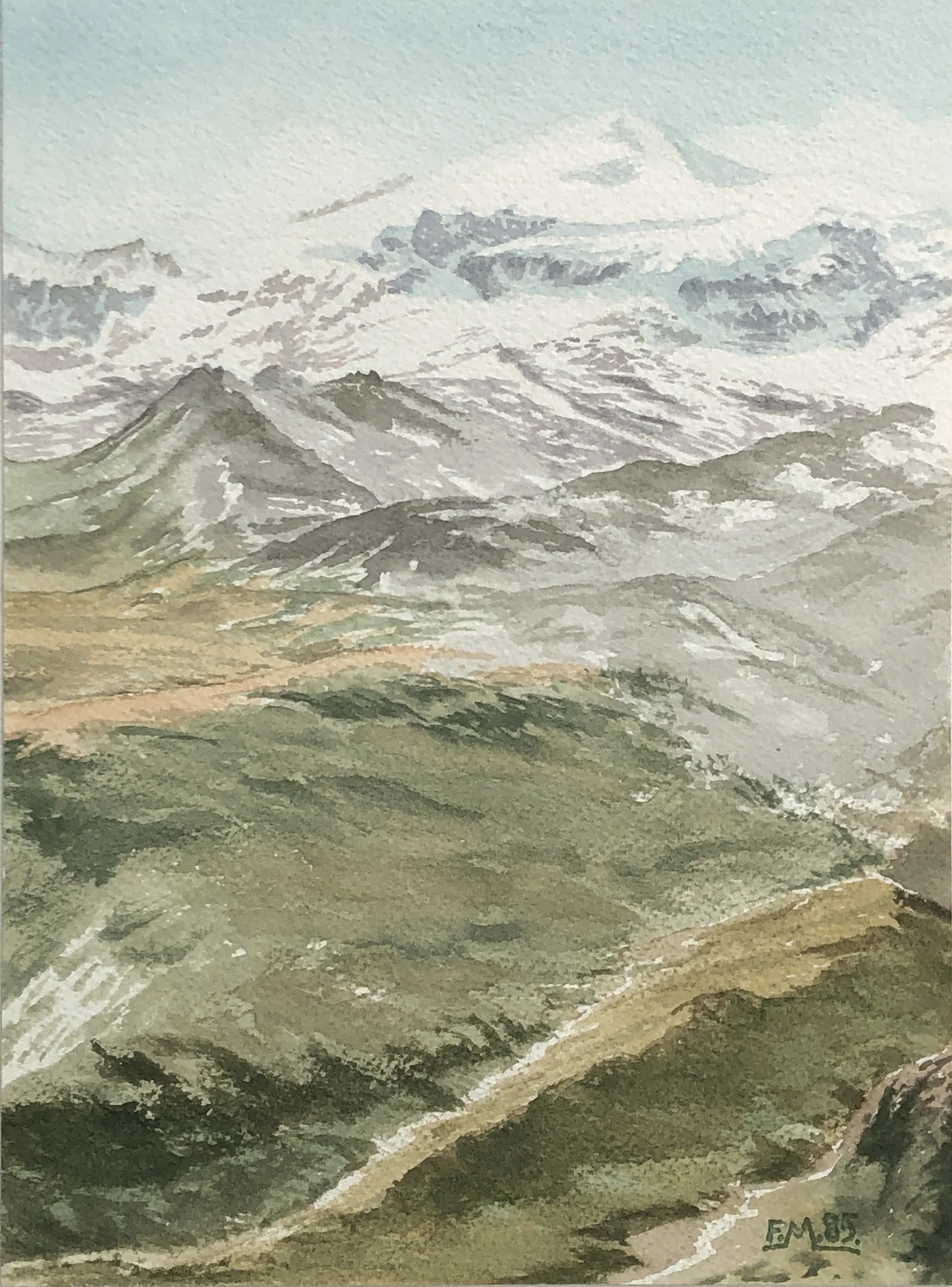 Alpages et montagne enneigée