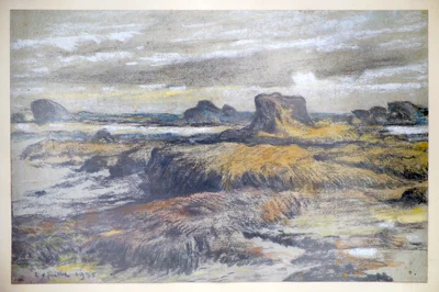 Ploumanach, rochers et goémon