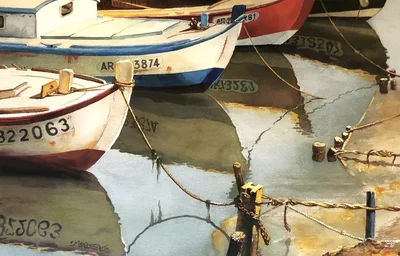 L'avant des pinasses au mouillage
