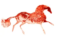 Série des chevaux rouges, aquarelle et encres acryliques