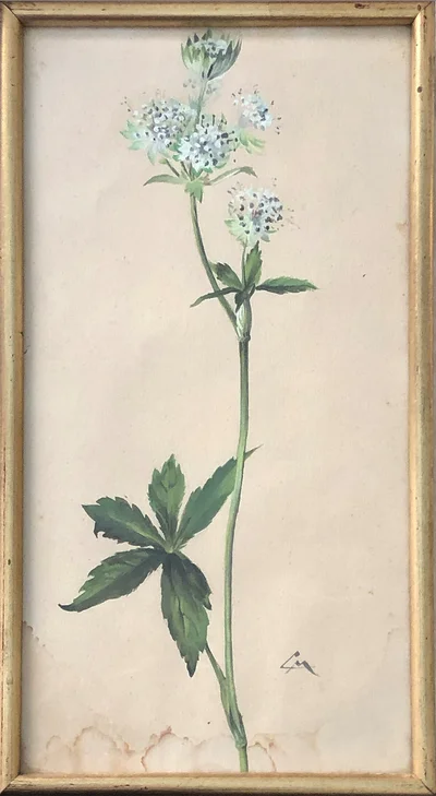 Fleurs 2