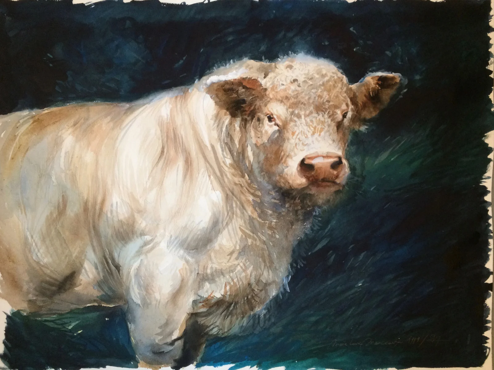 Le taureau