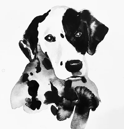 35-portrait de chien