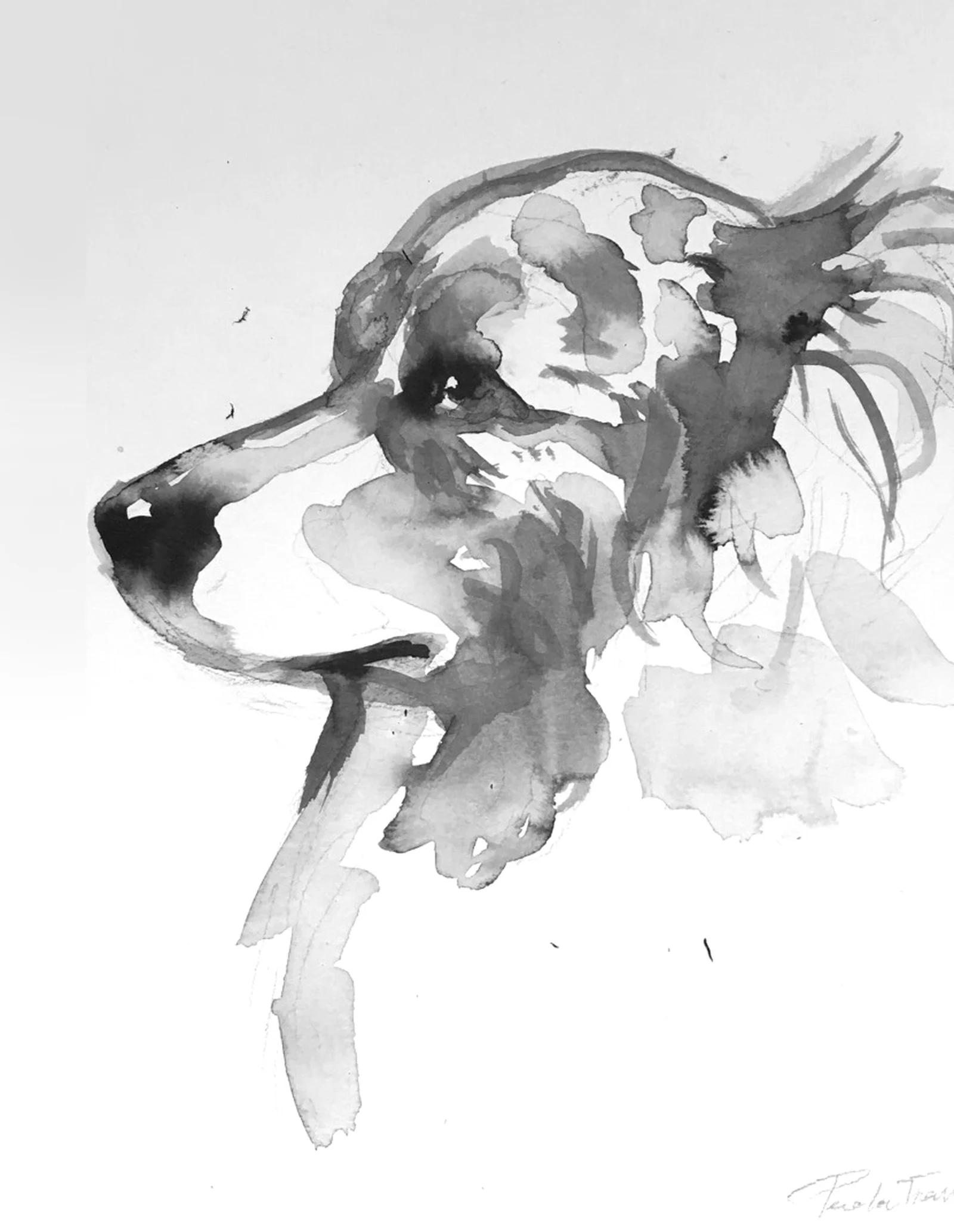 30-portrait de chien
