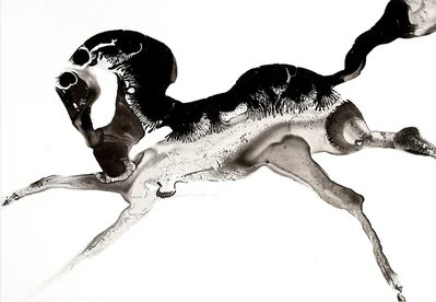 Série des chevaux en lavis