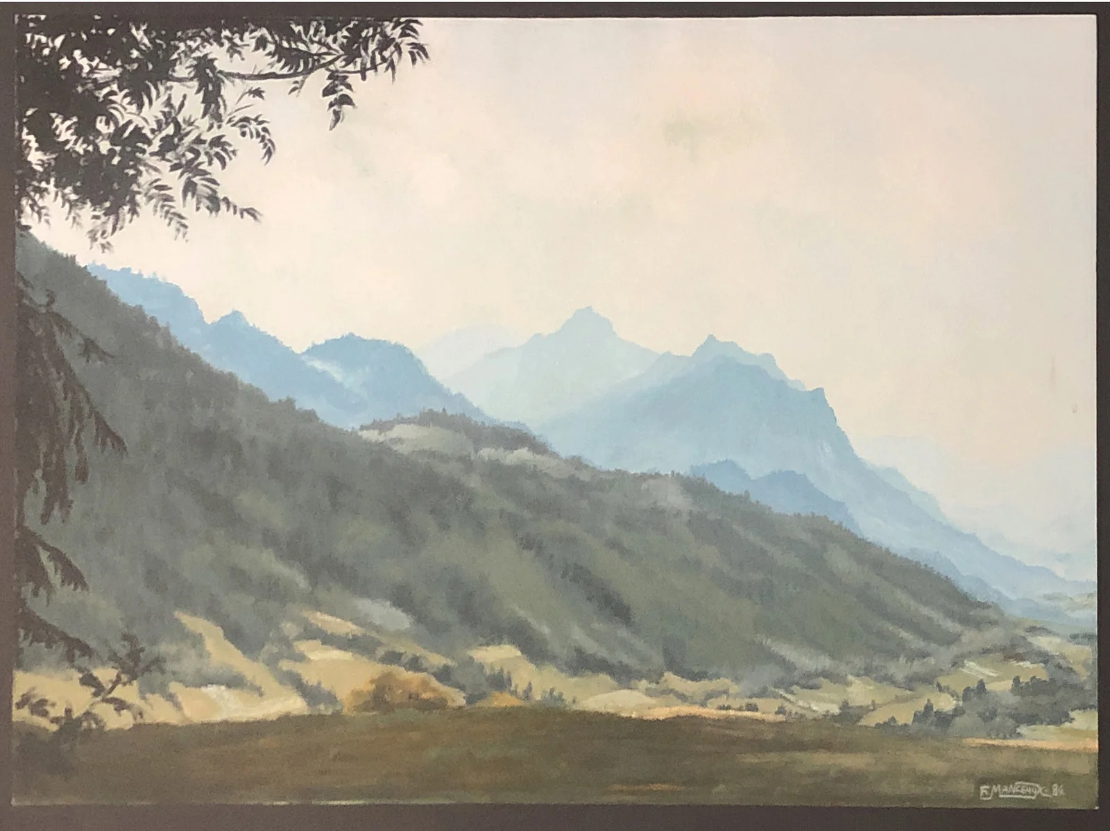 Vallée de Bernex, vue sur le Mont-Billat